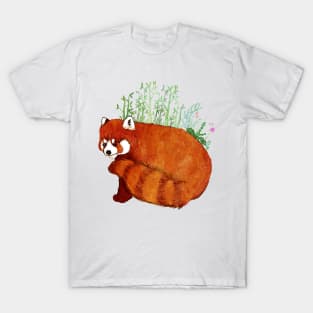 Red Panda T-Shirt